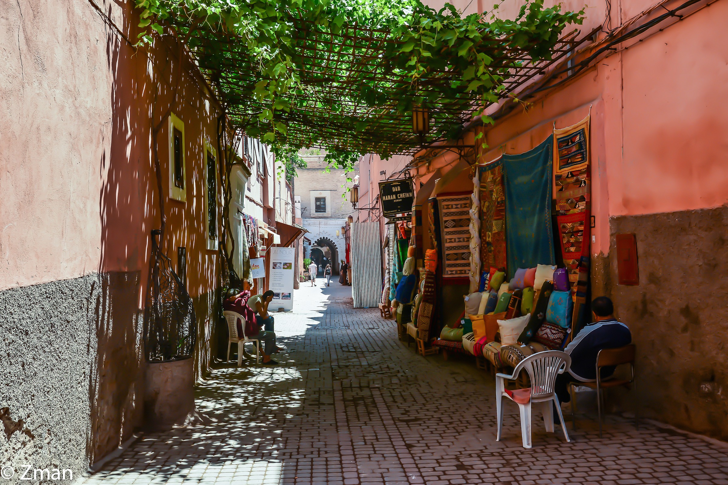 Alley e all'ombra di un albero di vite