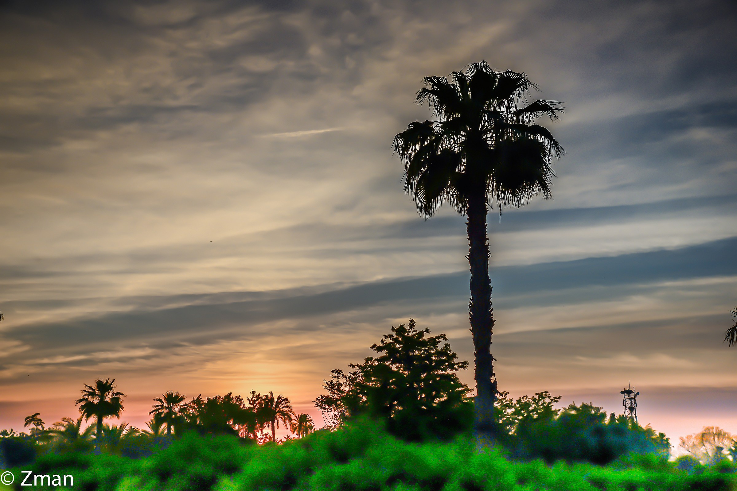 Sunset Over Koutoubia Garden
