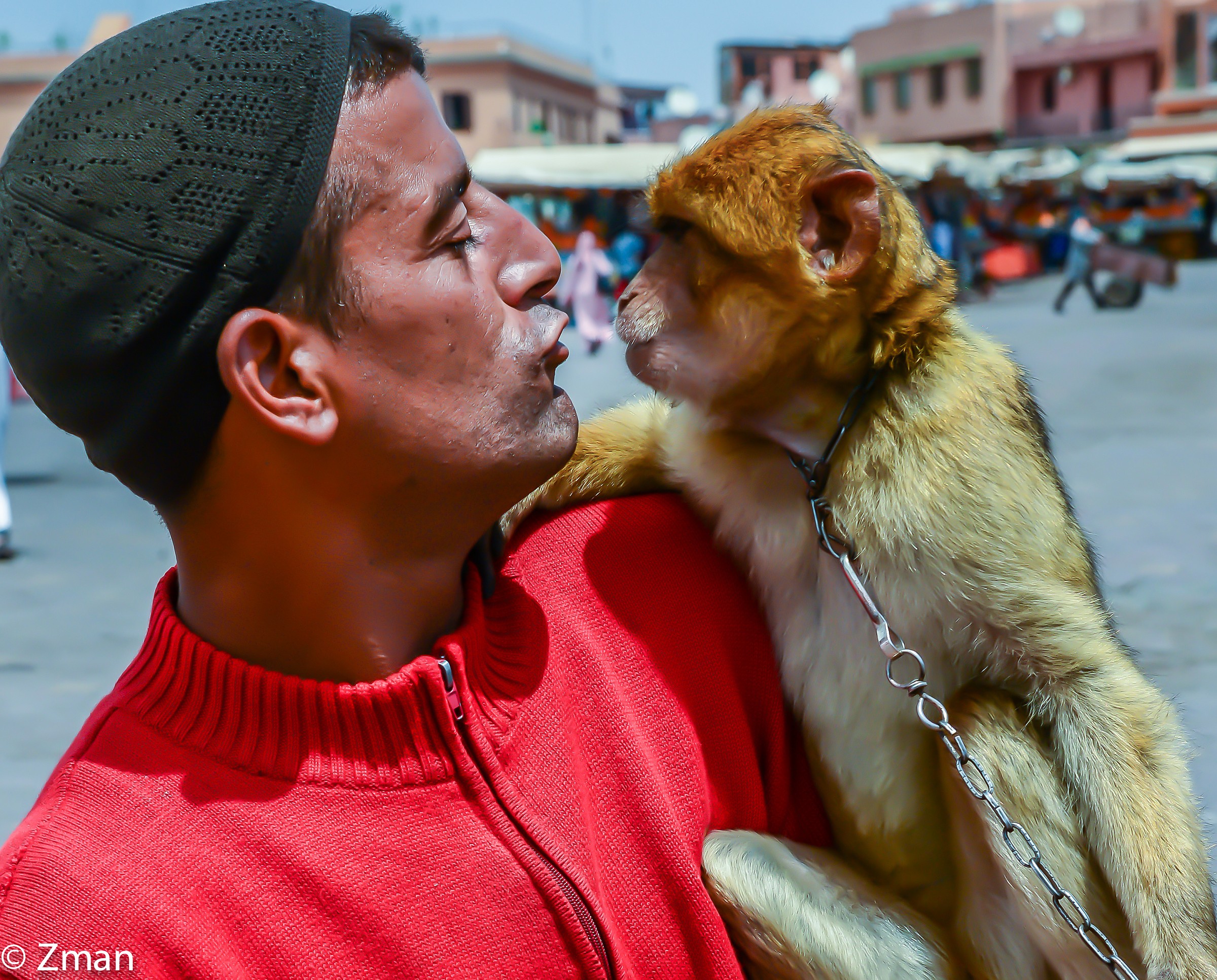 Berber and His Monkey