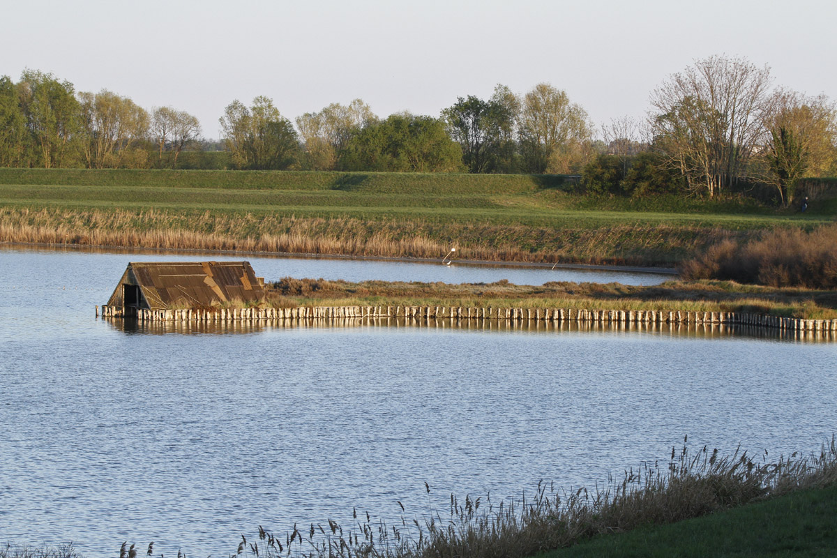 Oasis Boscoforte - Comacchio - FE