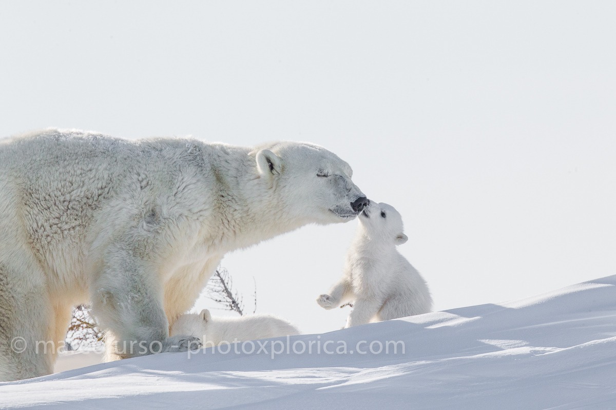 Churchill - Manitoba