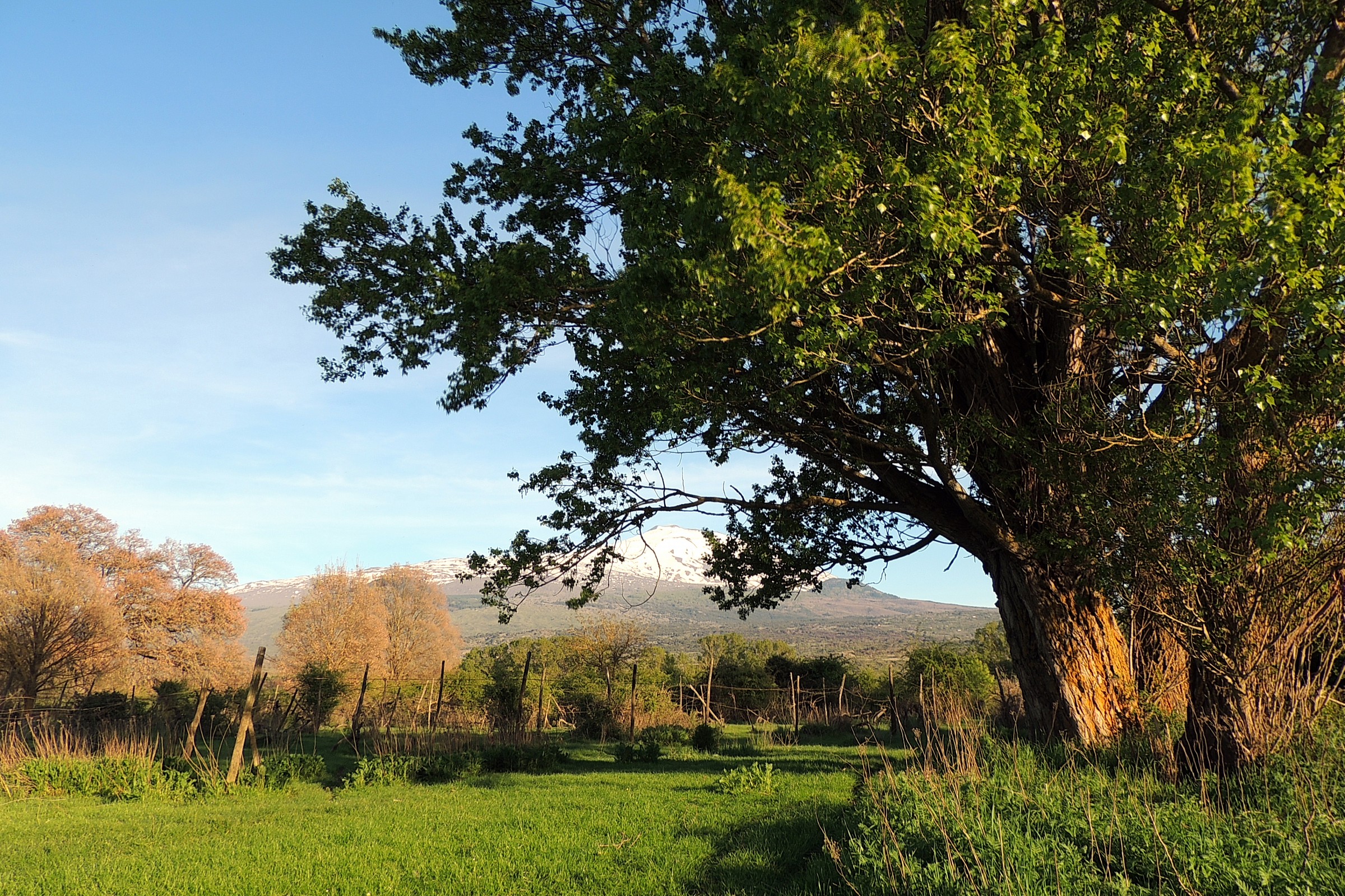 Etna from the district Gurrida