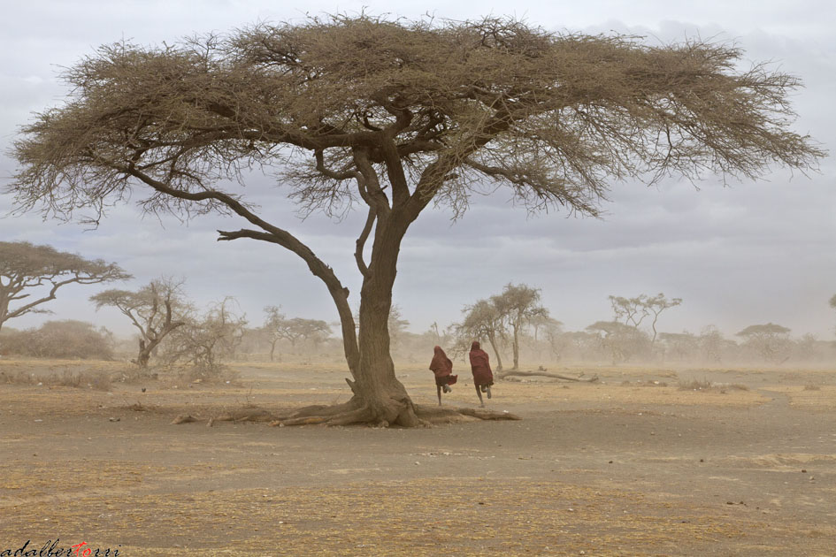 In search of shelter ...