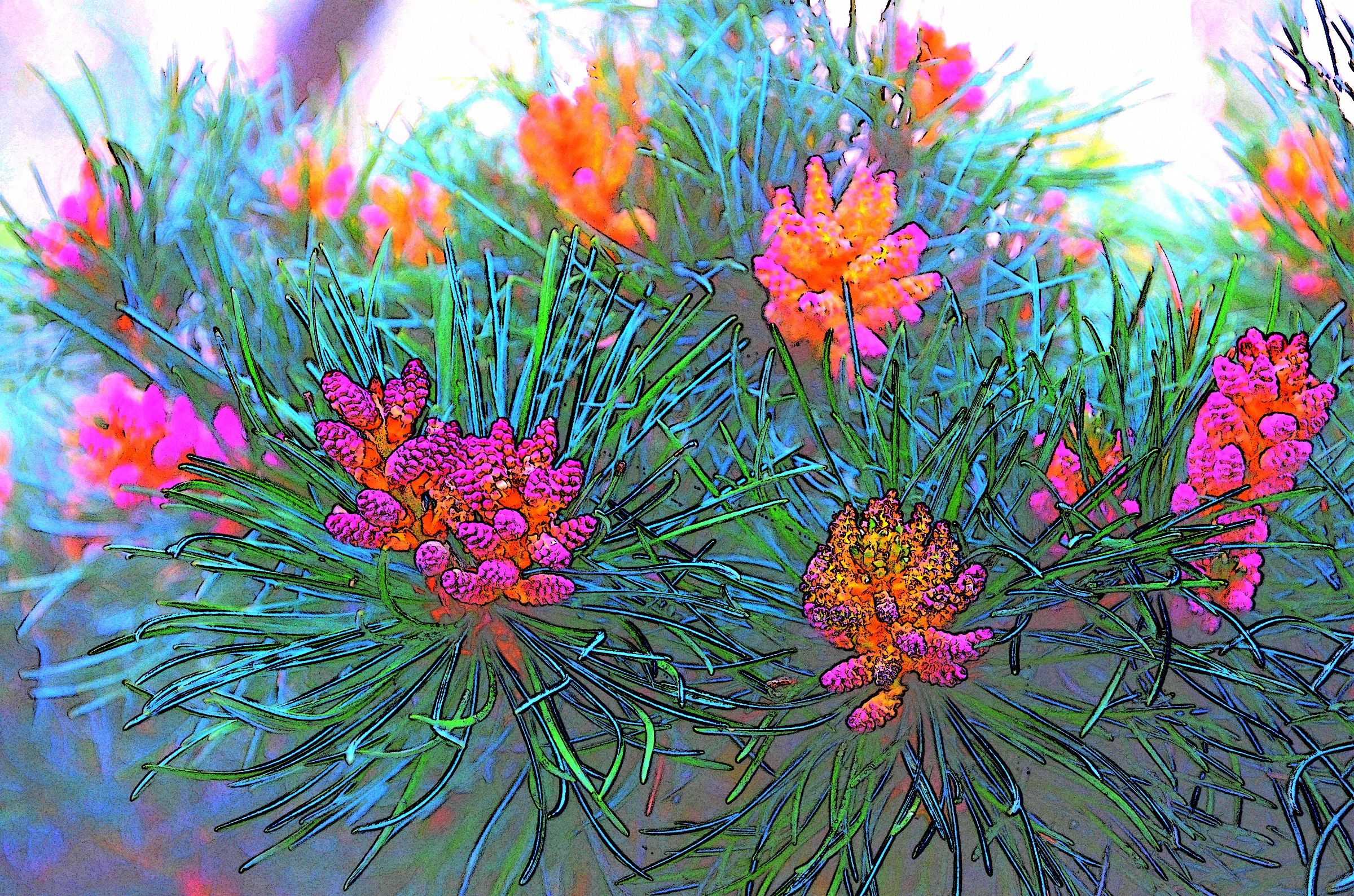 Pine needles 5 (pentaphilla)