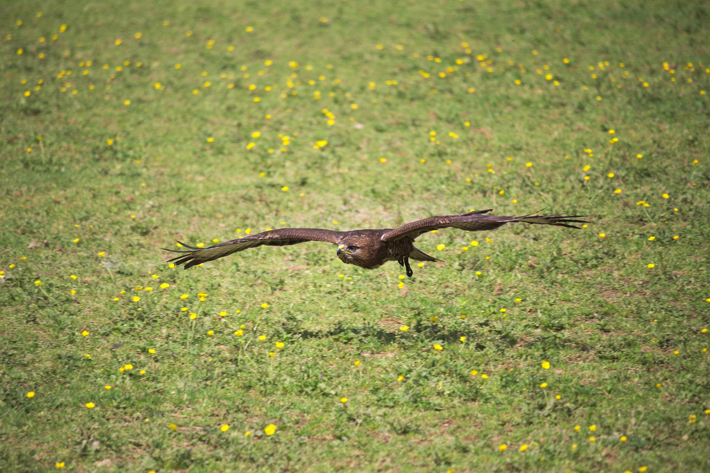 Oasi Sant' Alessio (pv)