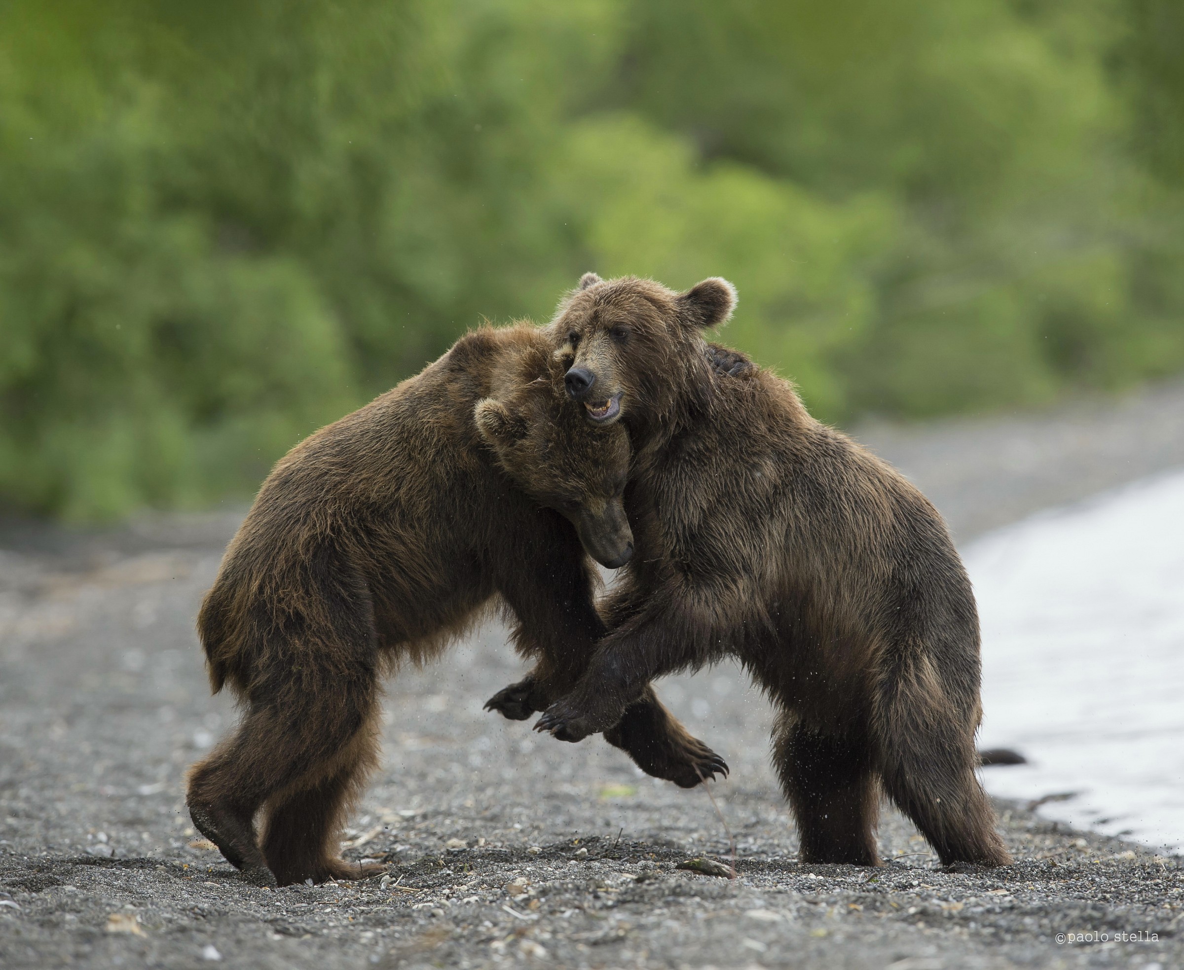 la lotta dei giovani -1