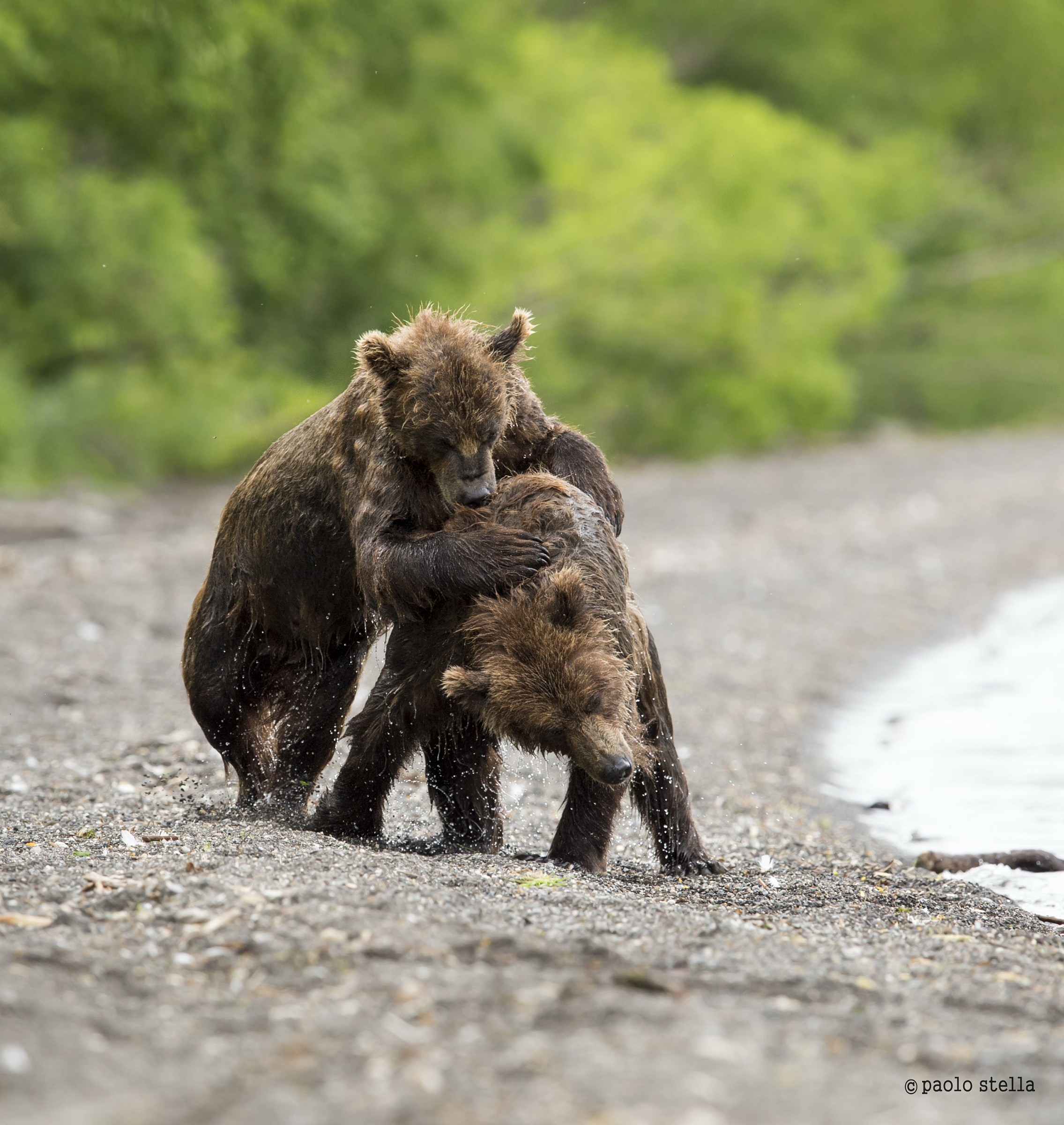 la lotta dei giovani -3