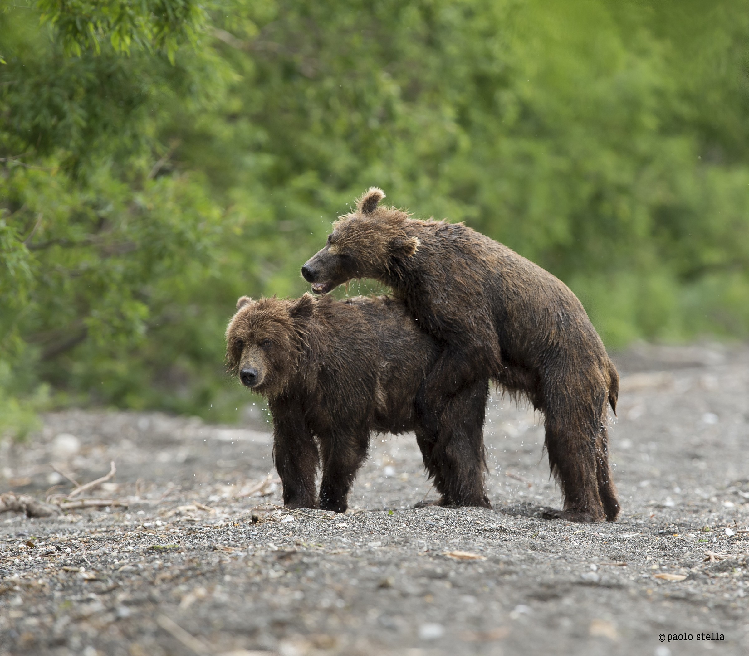 la lotta dei giovani -4