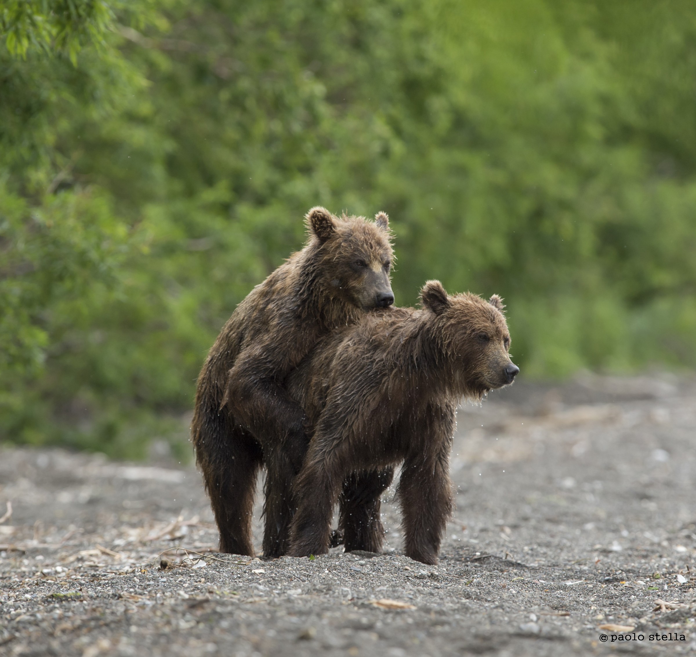 la lotta dei giovani -5
