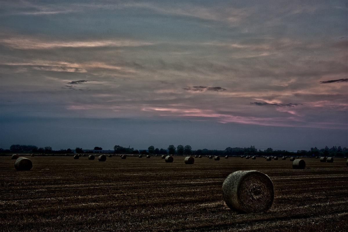 HDR Field