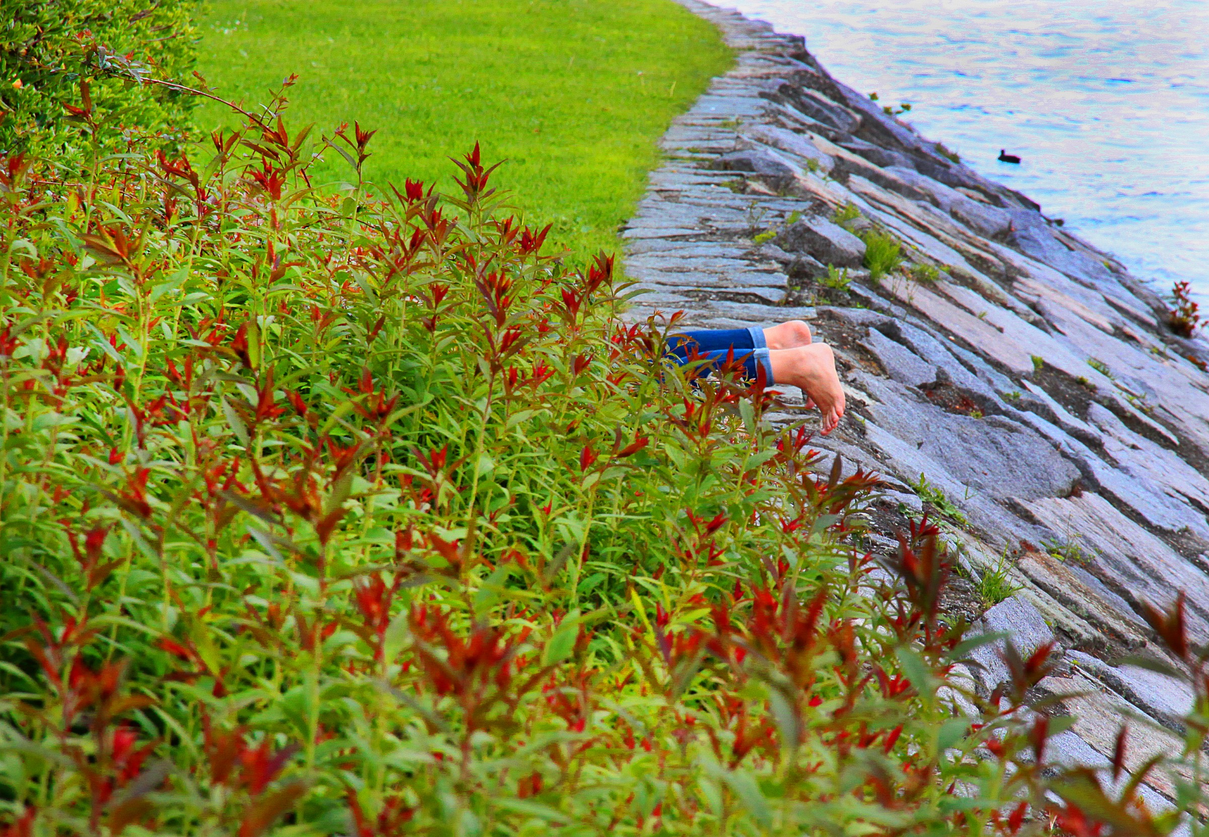 giochiamo a nascondino??