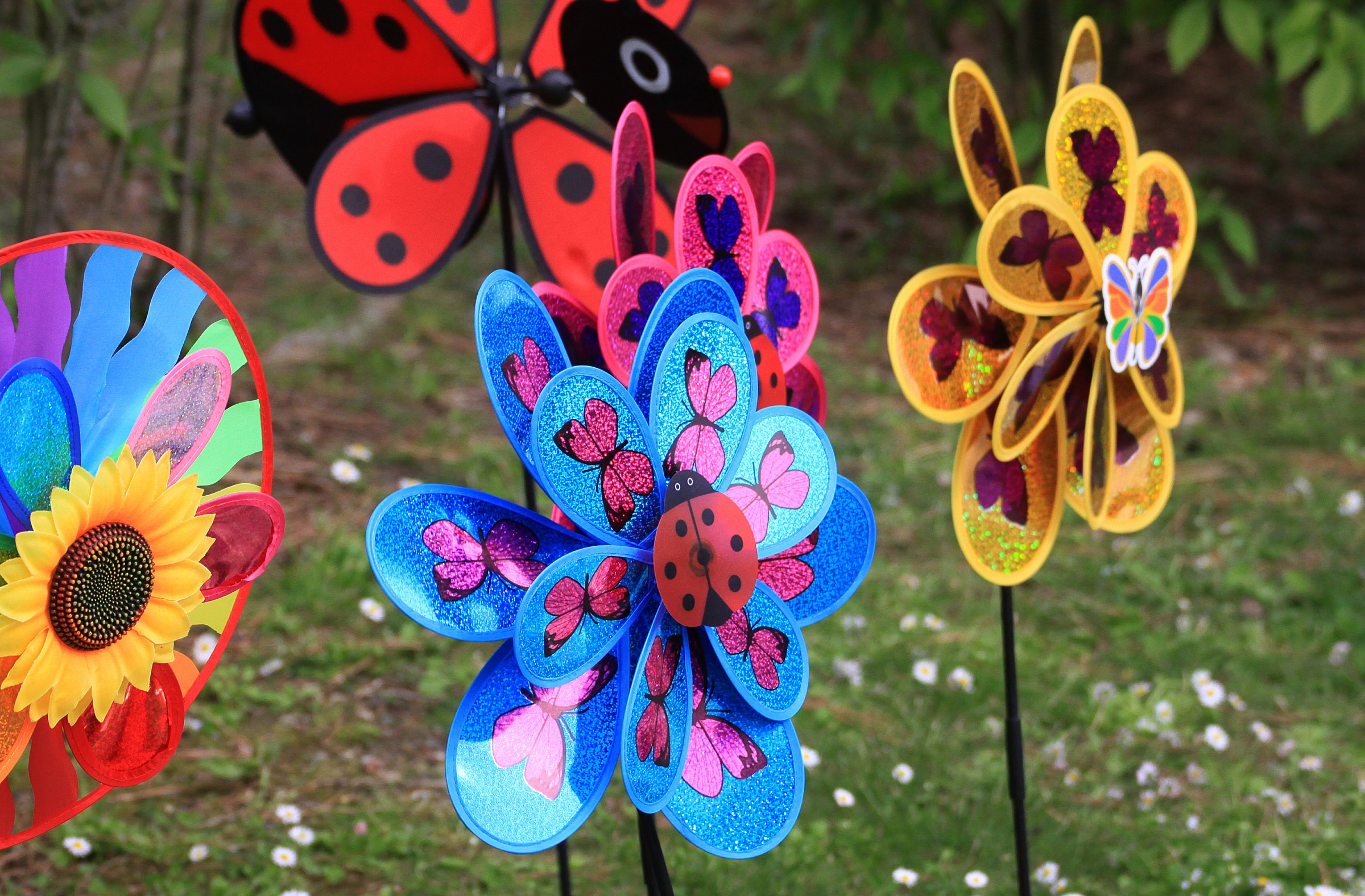 primavera ,si accendono i colori!!