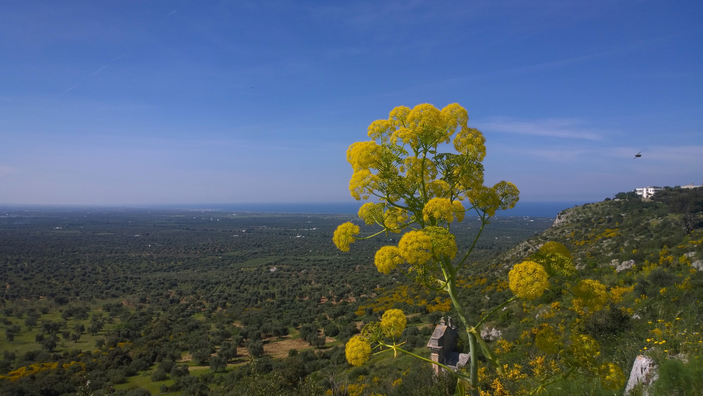 wilderness to Ostuni