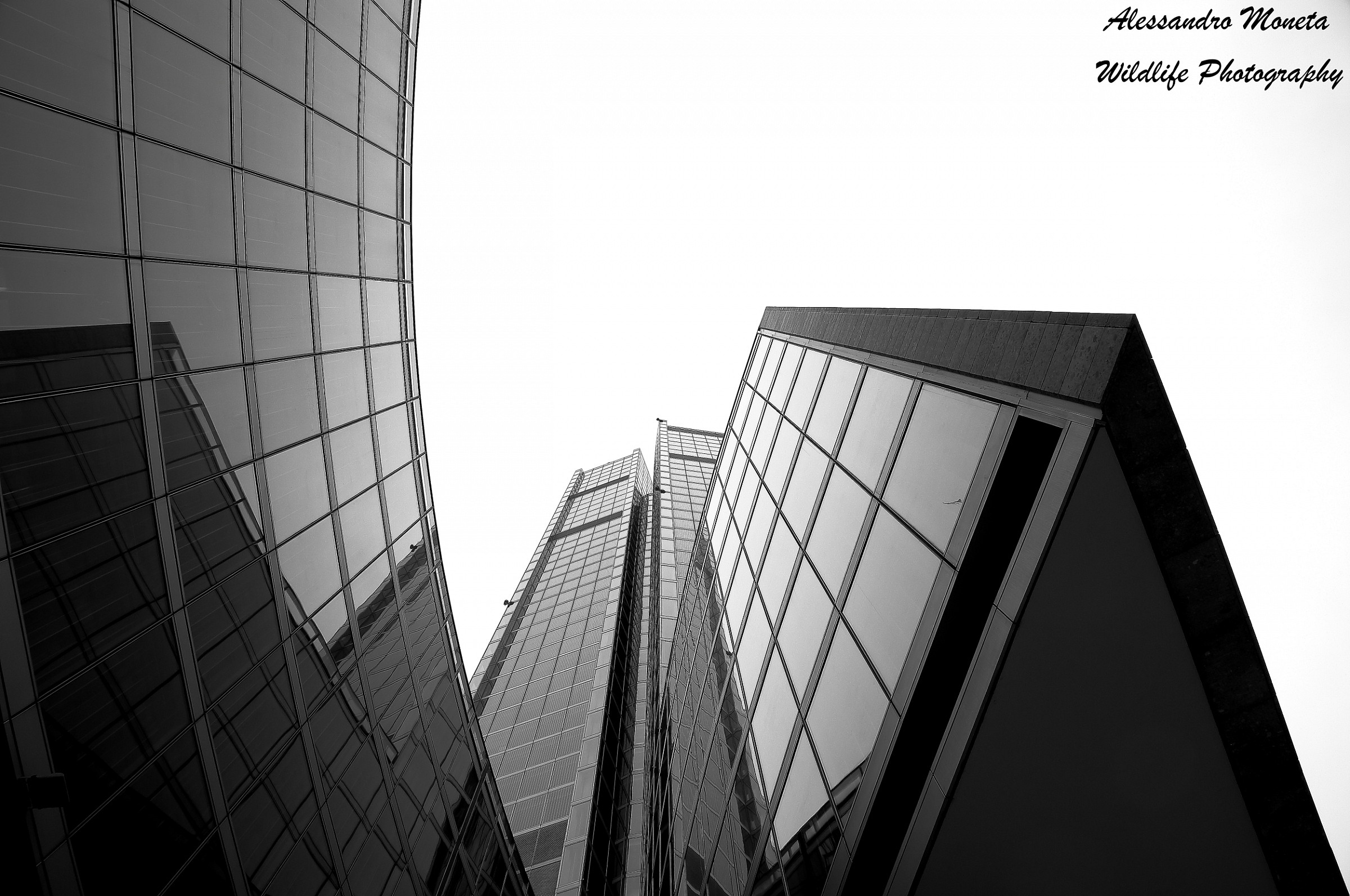 Palazzo della Regione