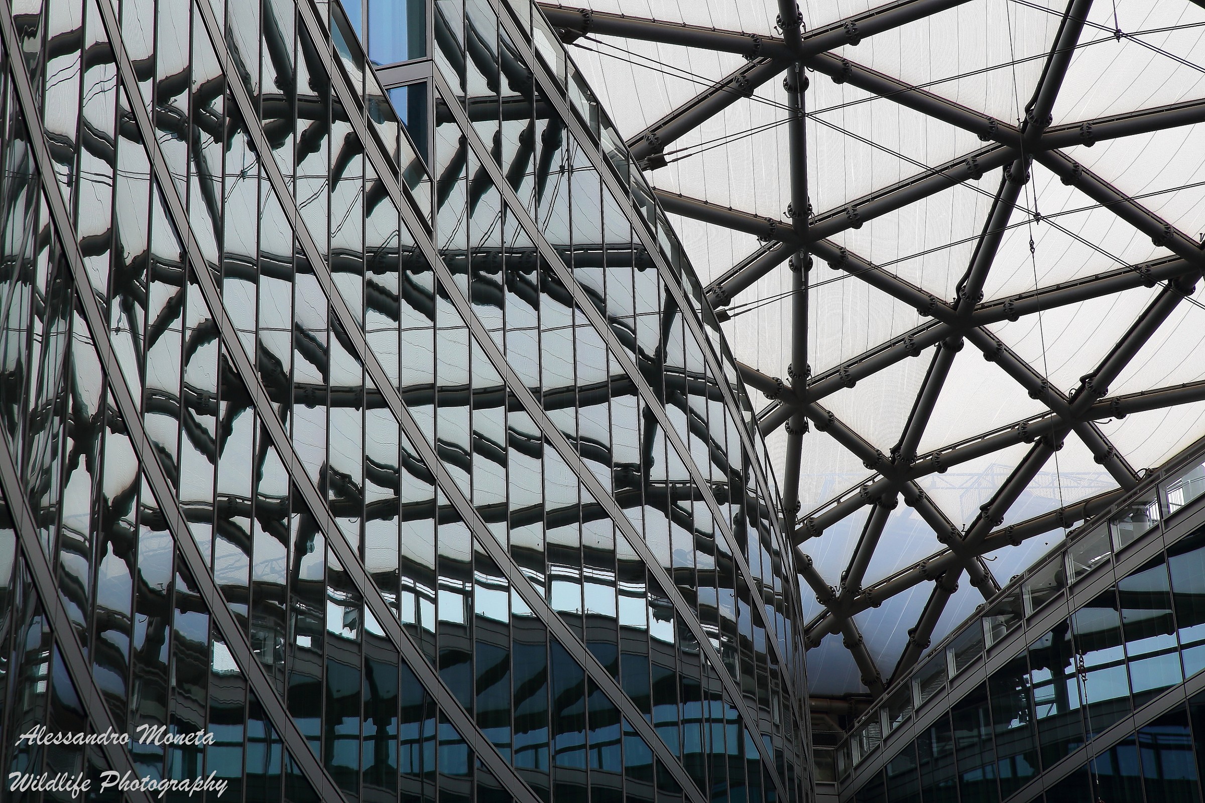 Palazzo della Regione