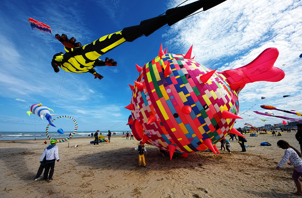 The dragon and the PescePalla ..