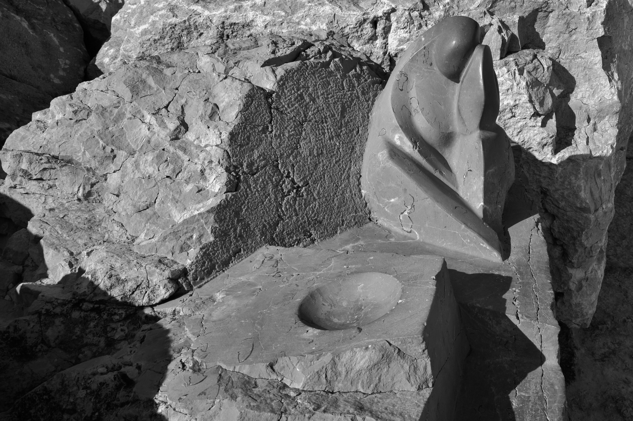 What are you thinking?