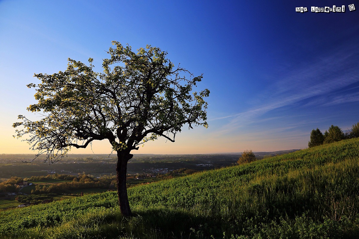 Langhe 2015 - Clavesana