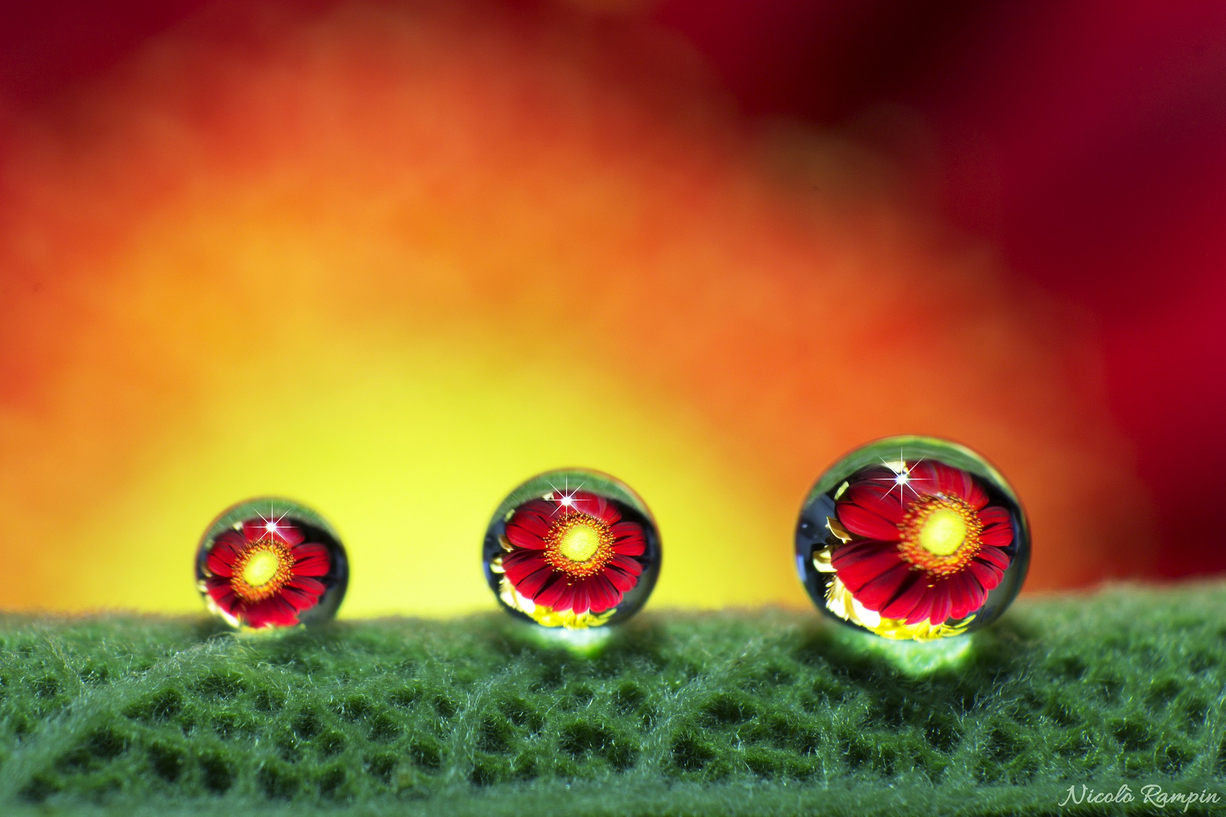 Riflessioni in una goccia_1