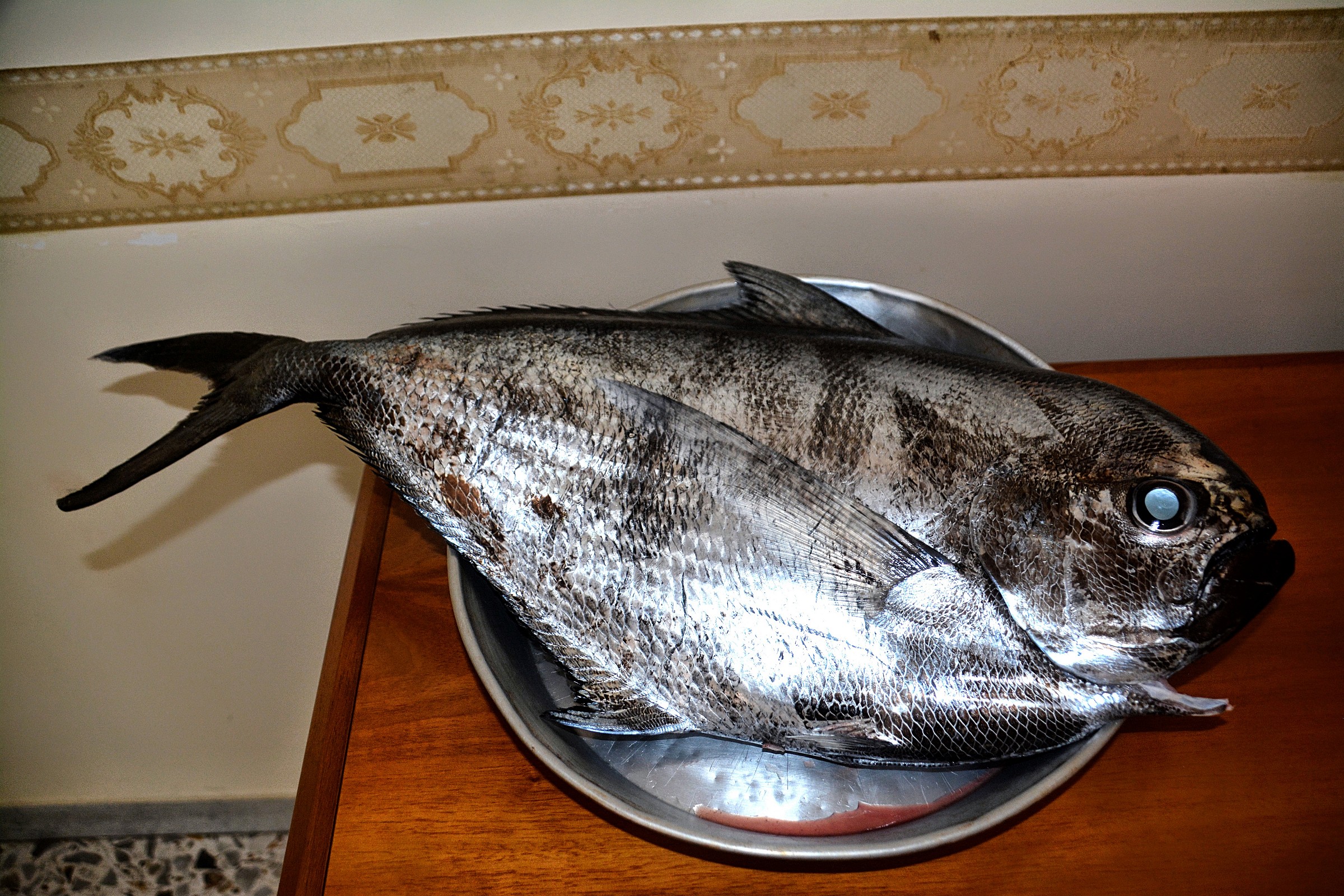 Pomfret