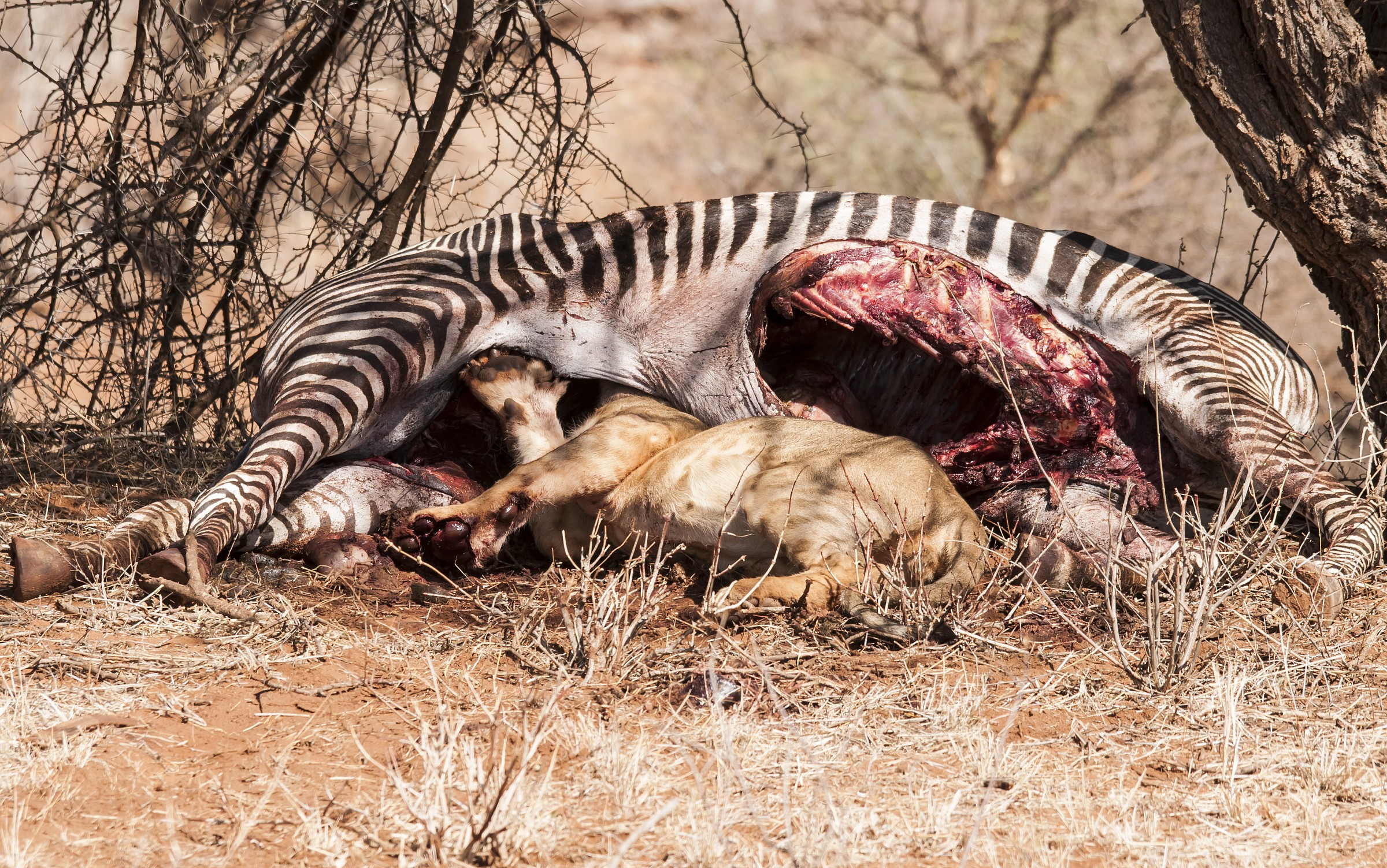 mmmhh roba ghiotta qui dentro