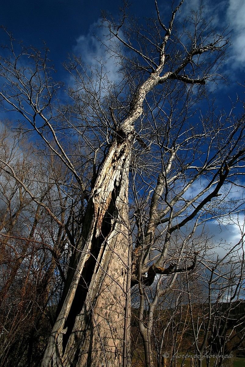 Aspettando la primavera