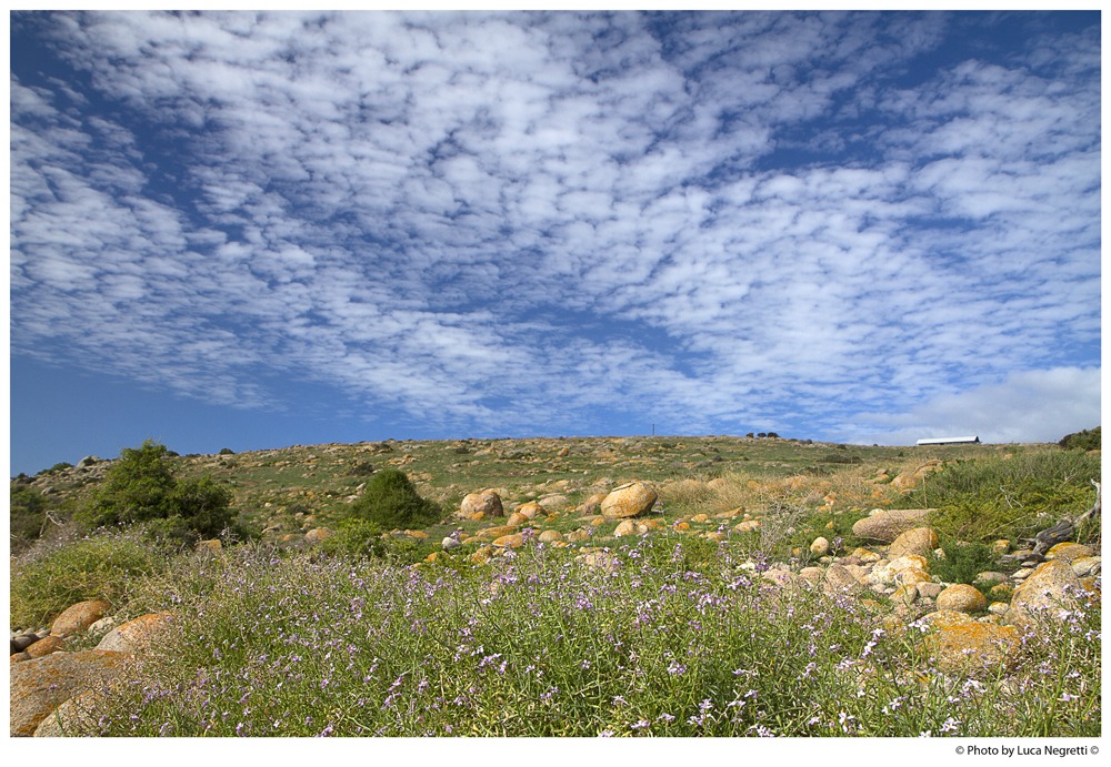 Postcard from Cape Willoughby # 1