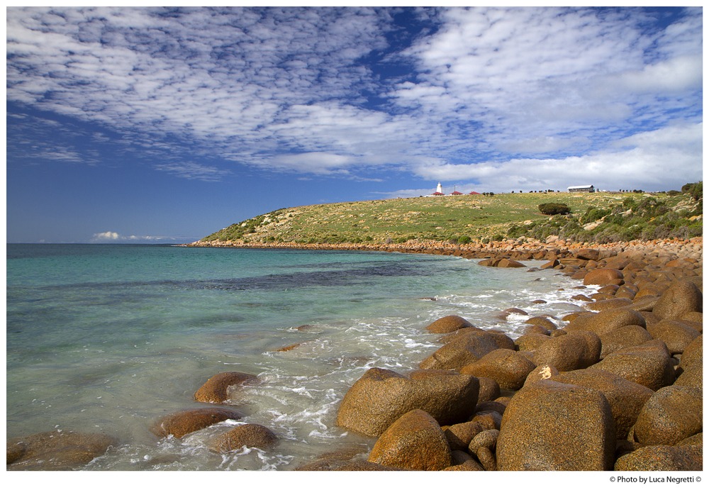 Postcard from Cape Willoughby # 2