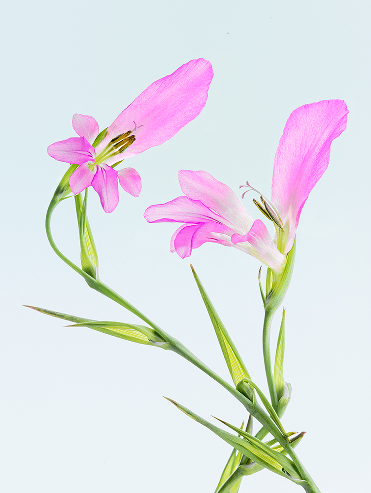 A loving relationship