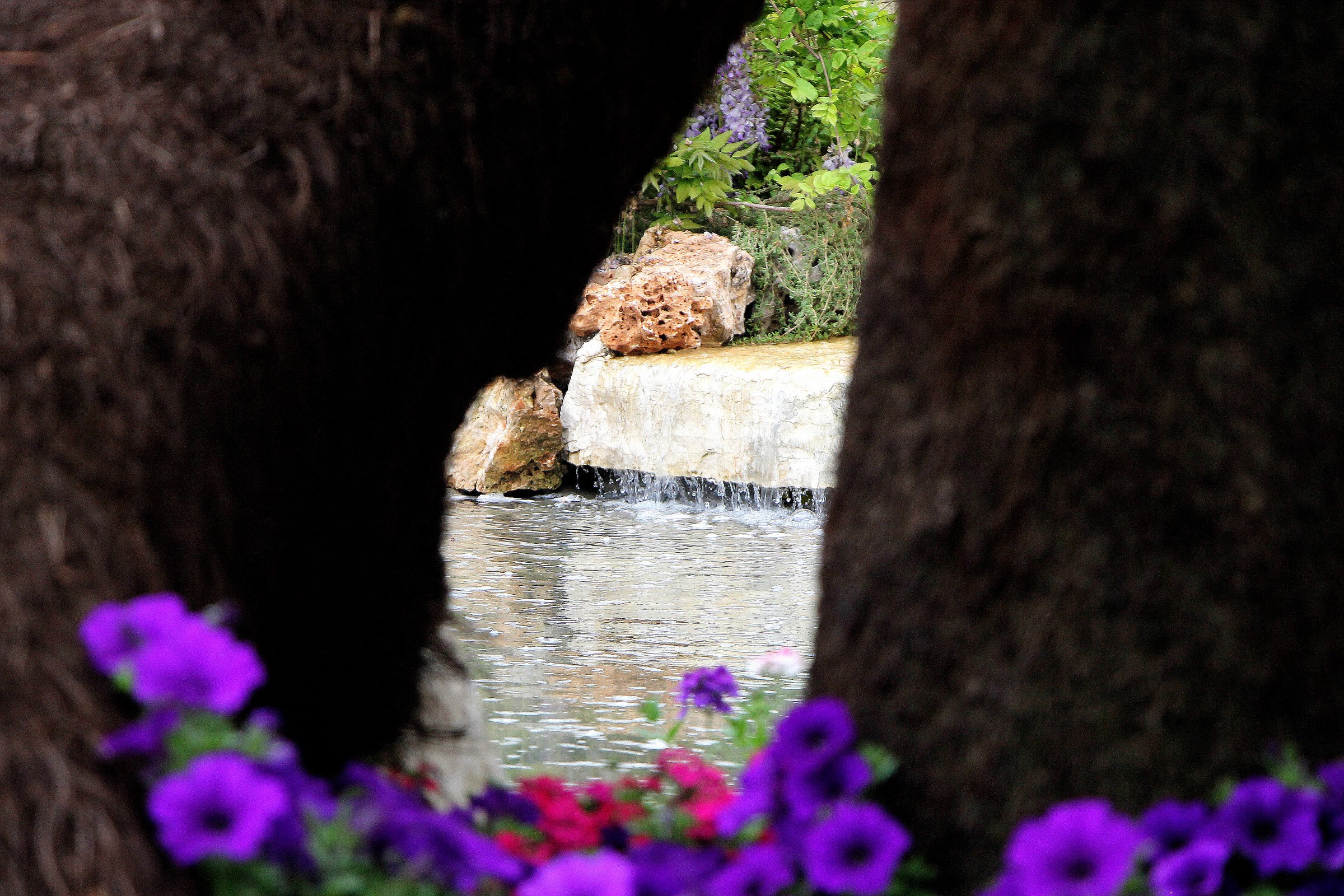 un angolo di paradiso
