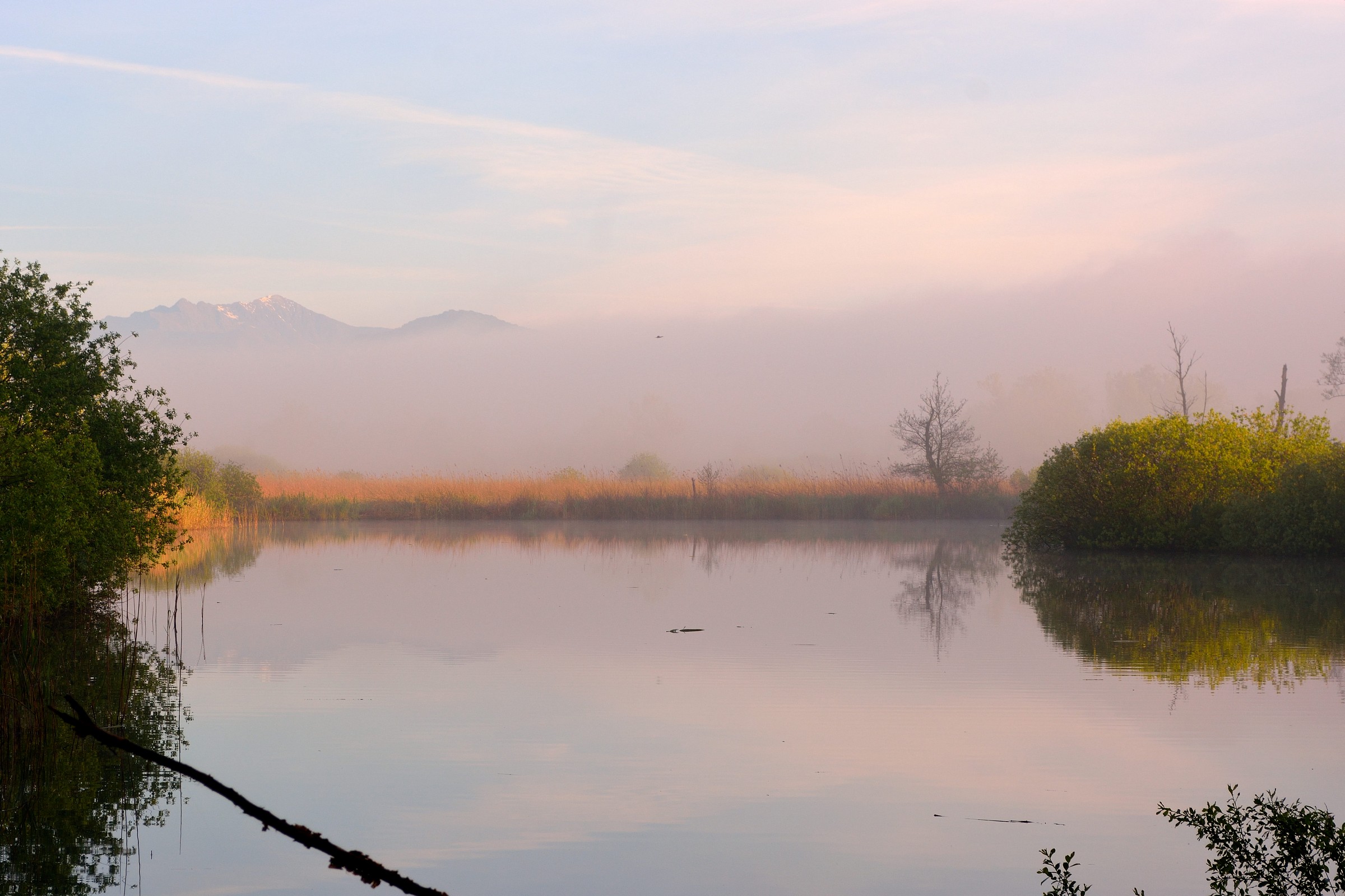 oasis swamp Brabbia- second shed