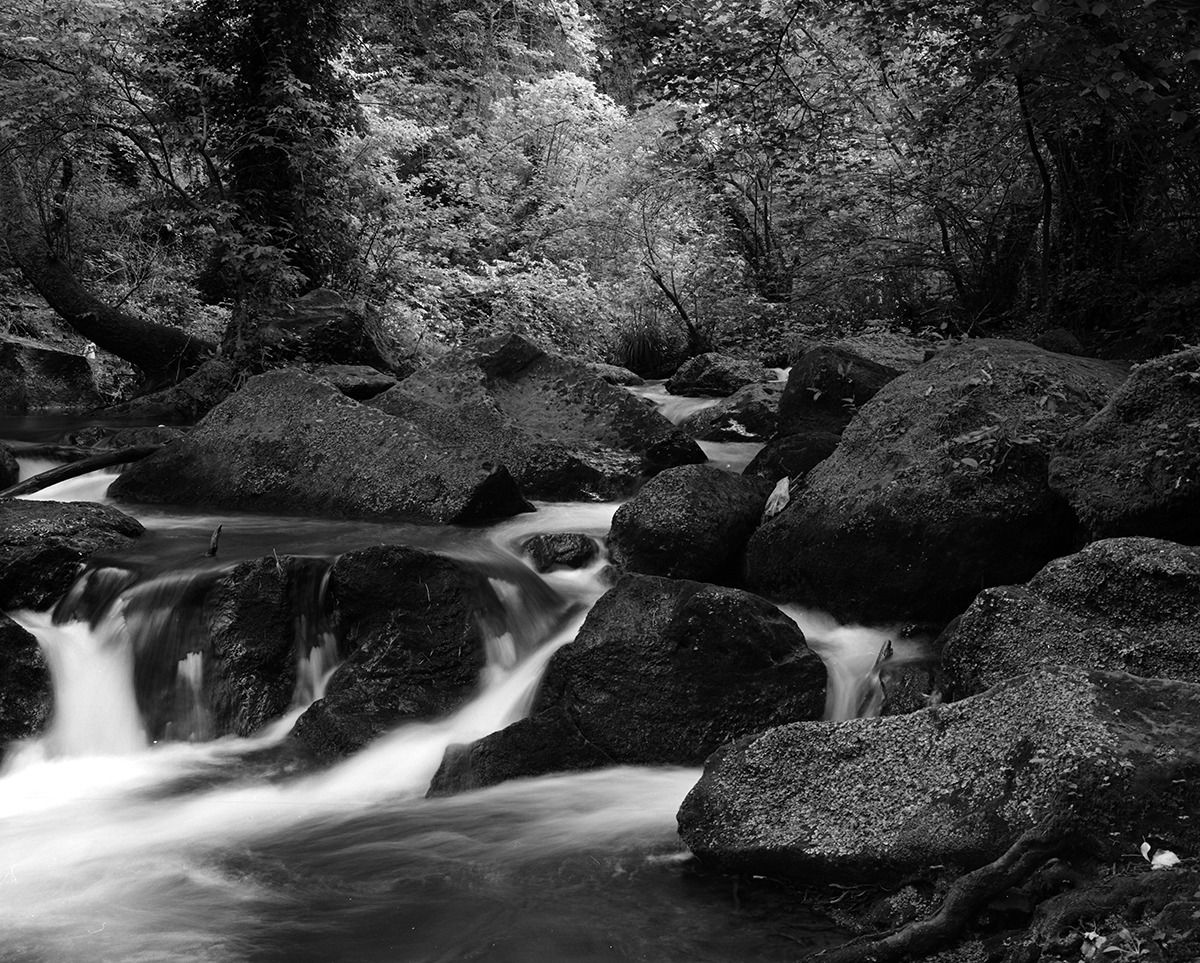 Montegelato (calcata