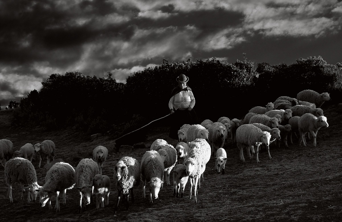 Before the storm ...