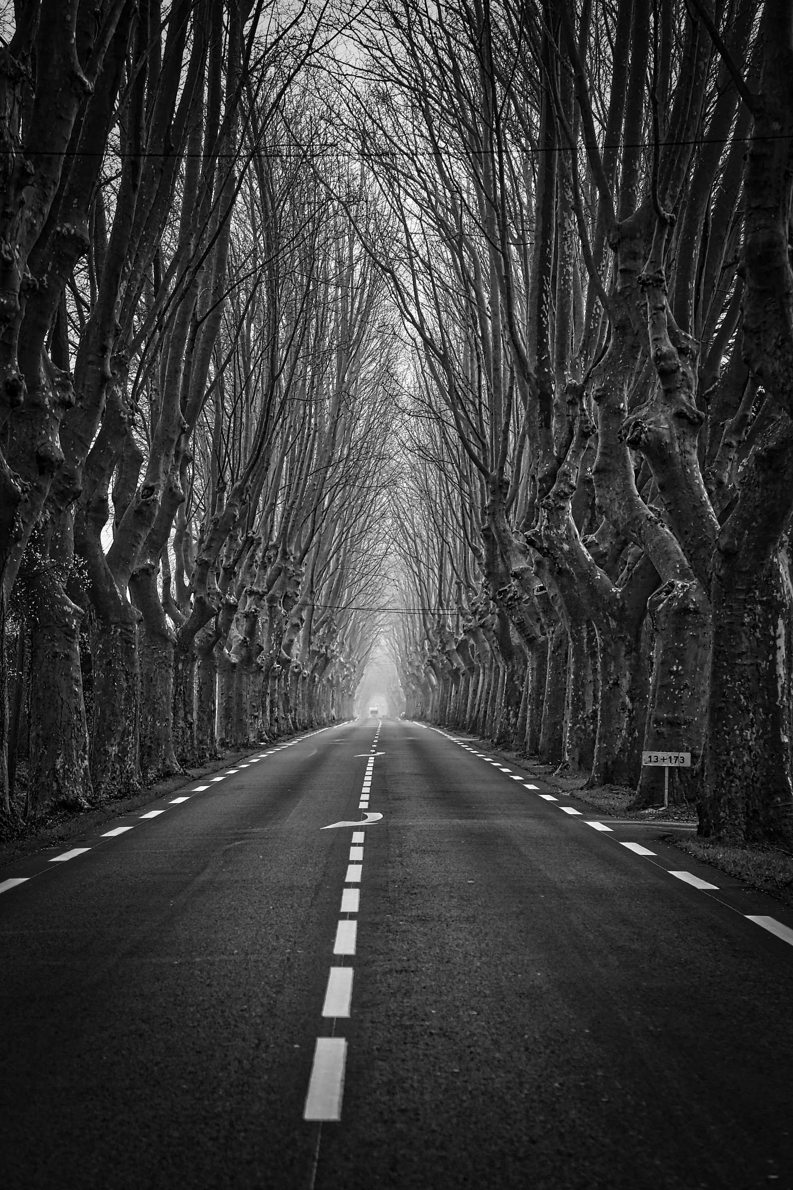 le mani della natura