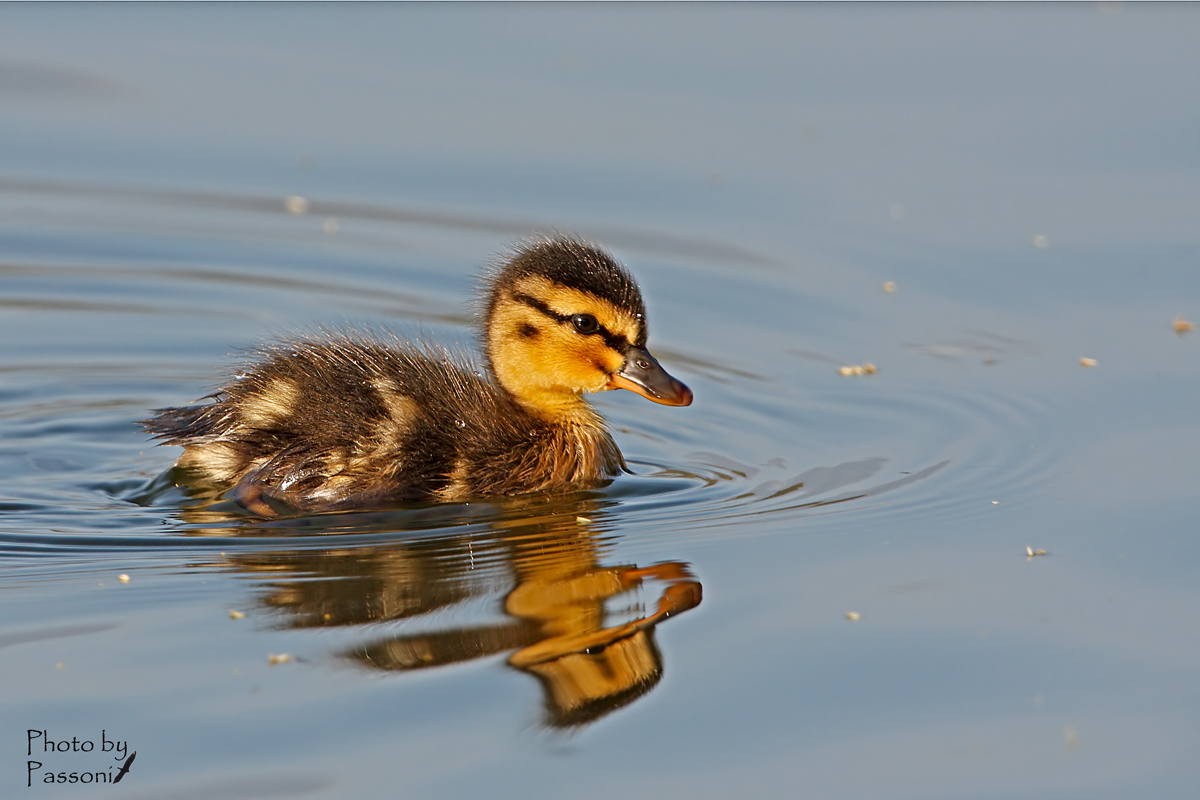 Pochi grammi di tenerezza assoluta!