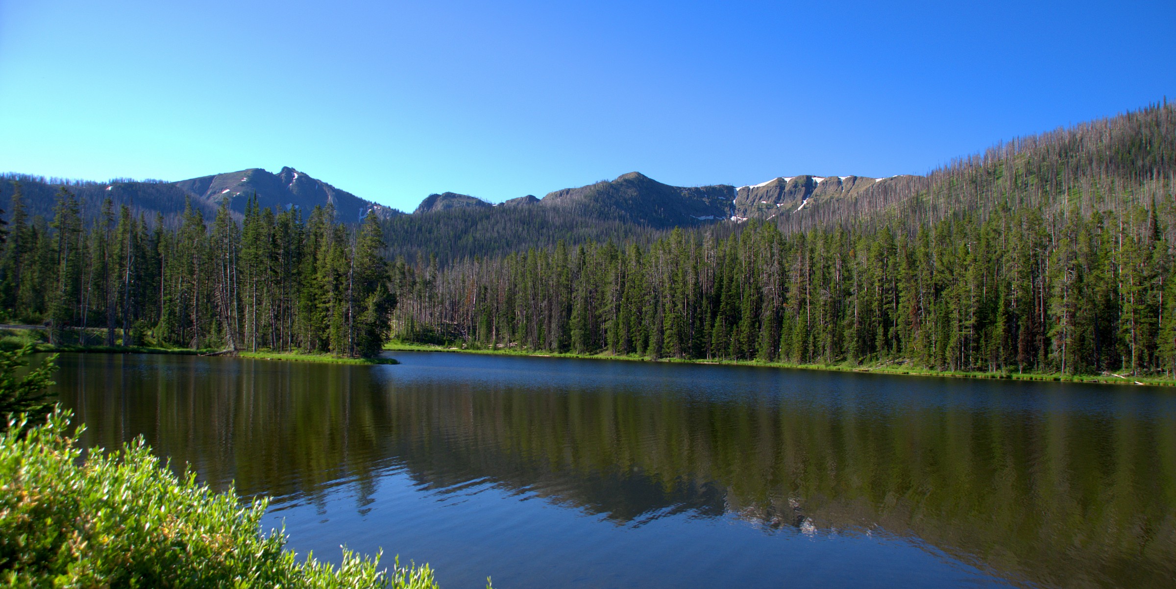 Yellowstone national park