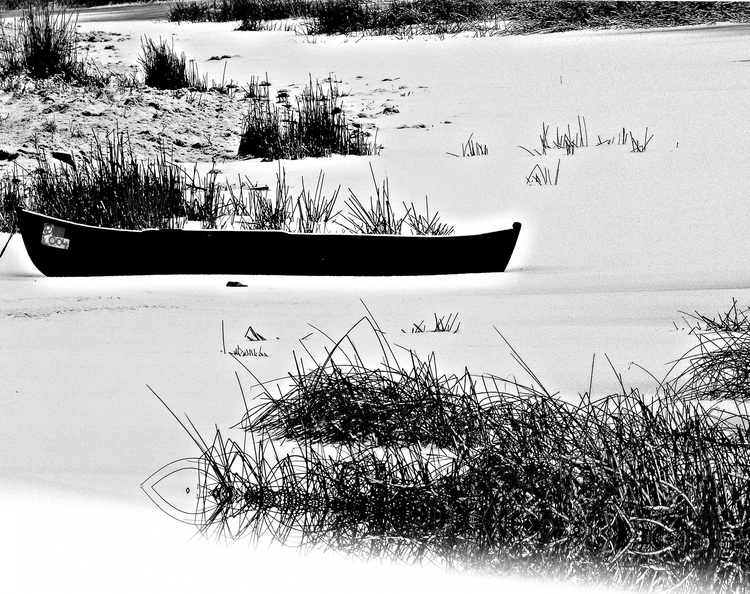 In the ice