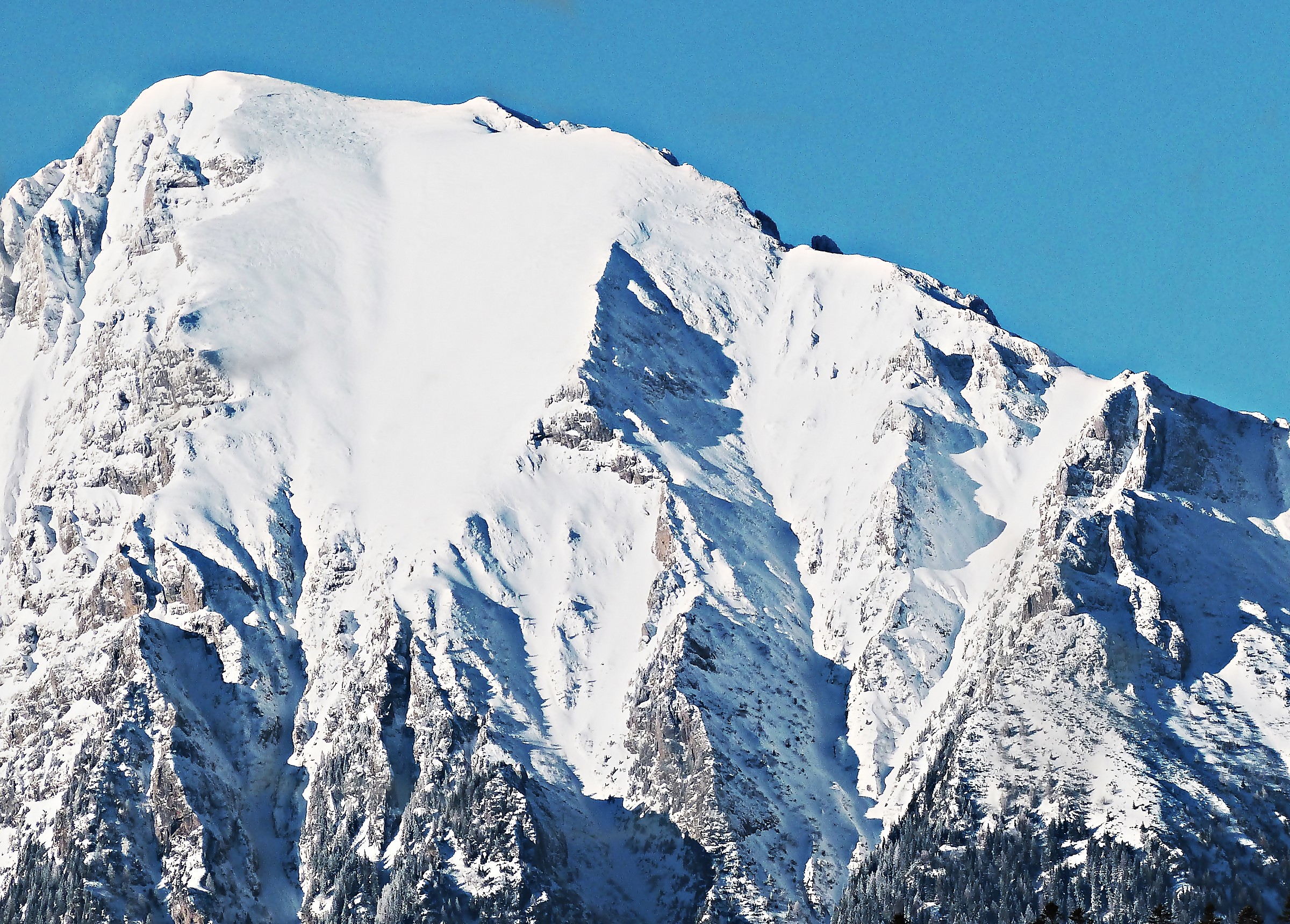 The hart of tre mountain