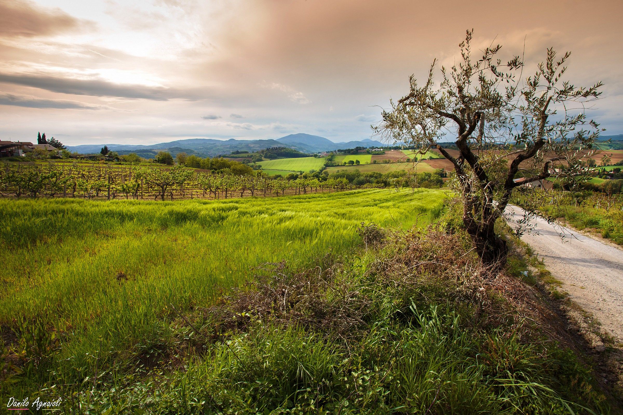 Colline Umbre in questo periodo