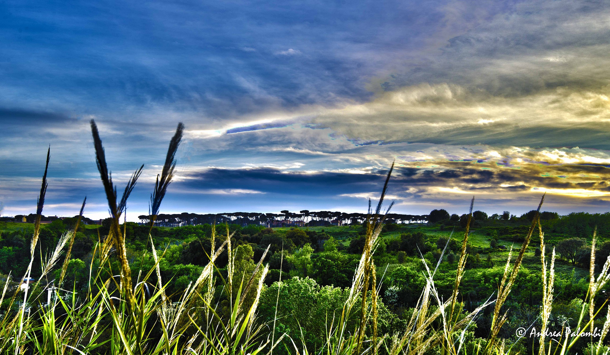 Urban Park of Pineto
