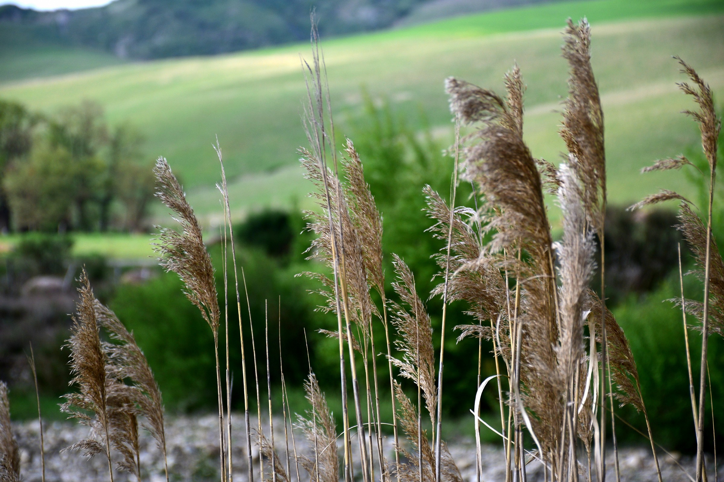 Val D'Orcia così.......