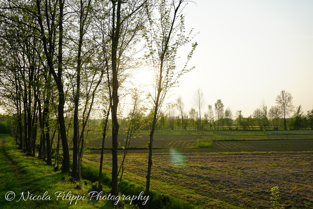 tramontoi between fields