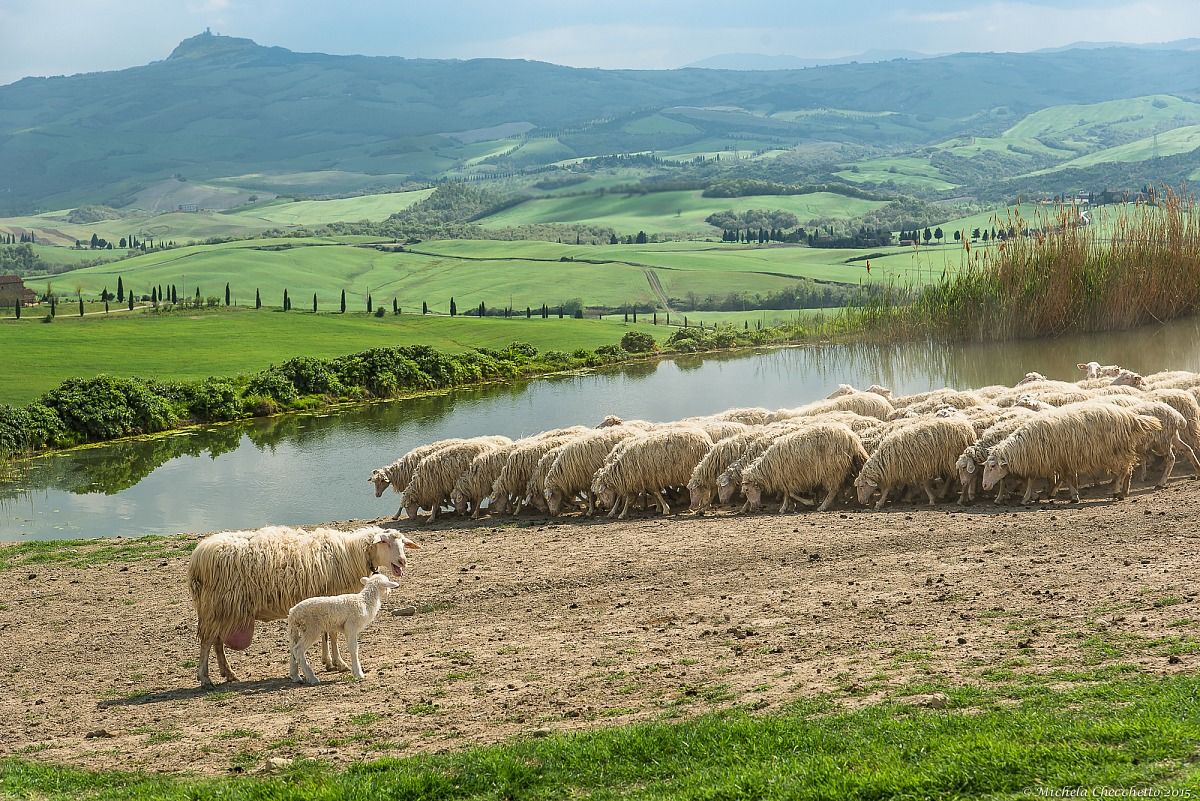 Son, one day all this will be yours