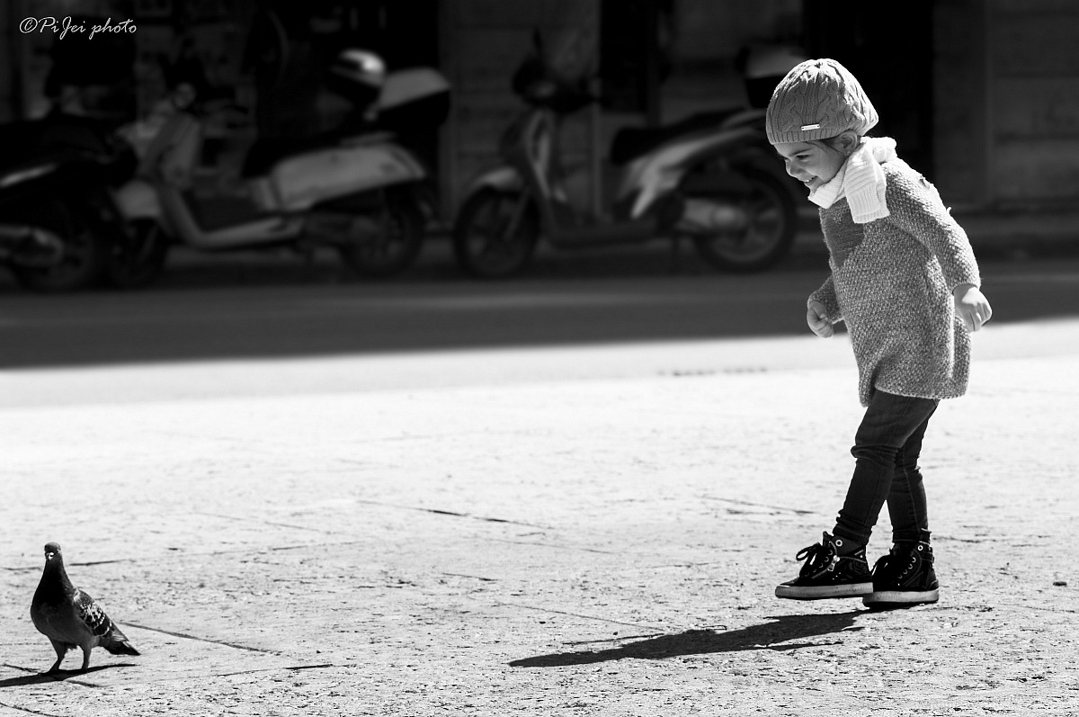 The hunt for the pigeon ..