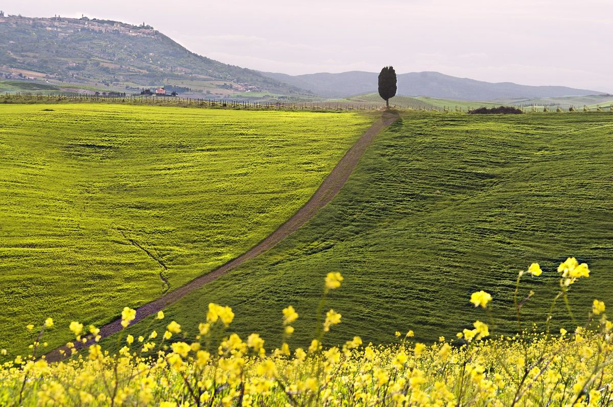 Ai piedi di Montalcino