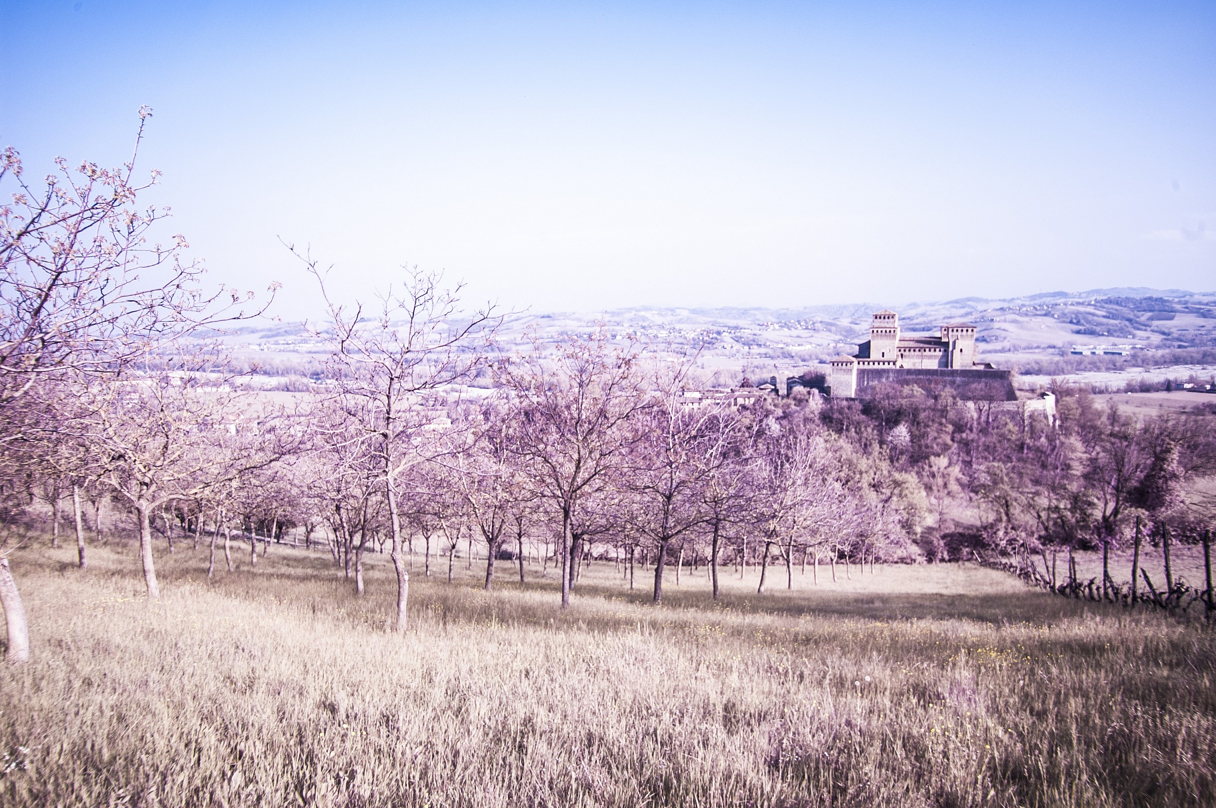 Castle Torrechiara IR 3