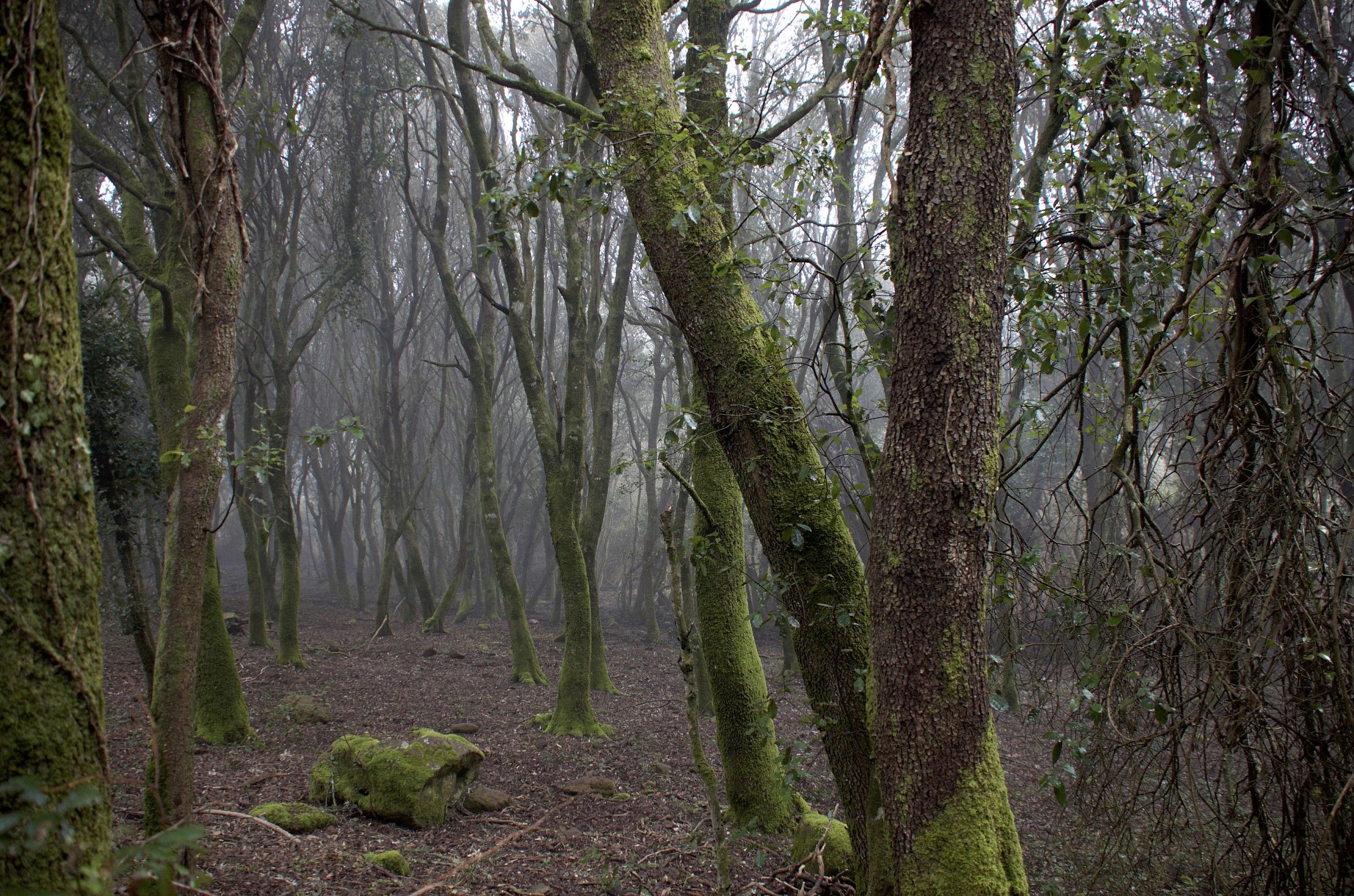 Before the Apocalypse - Santu Lussurgiu