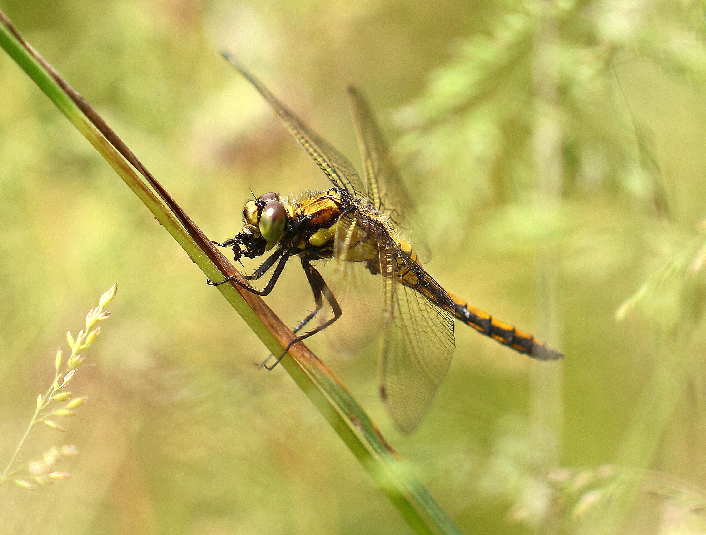 finalmente stai un attimo ferma o quasi.