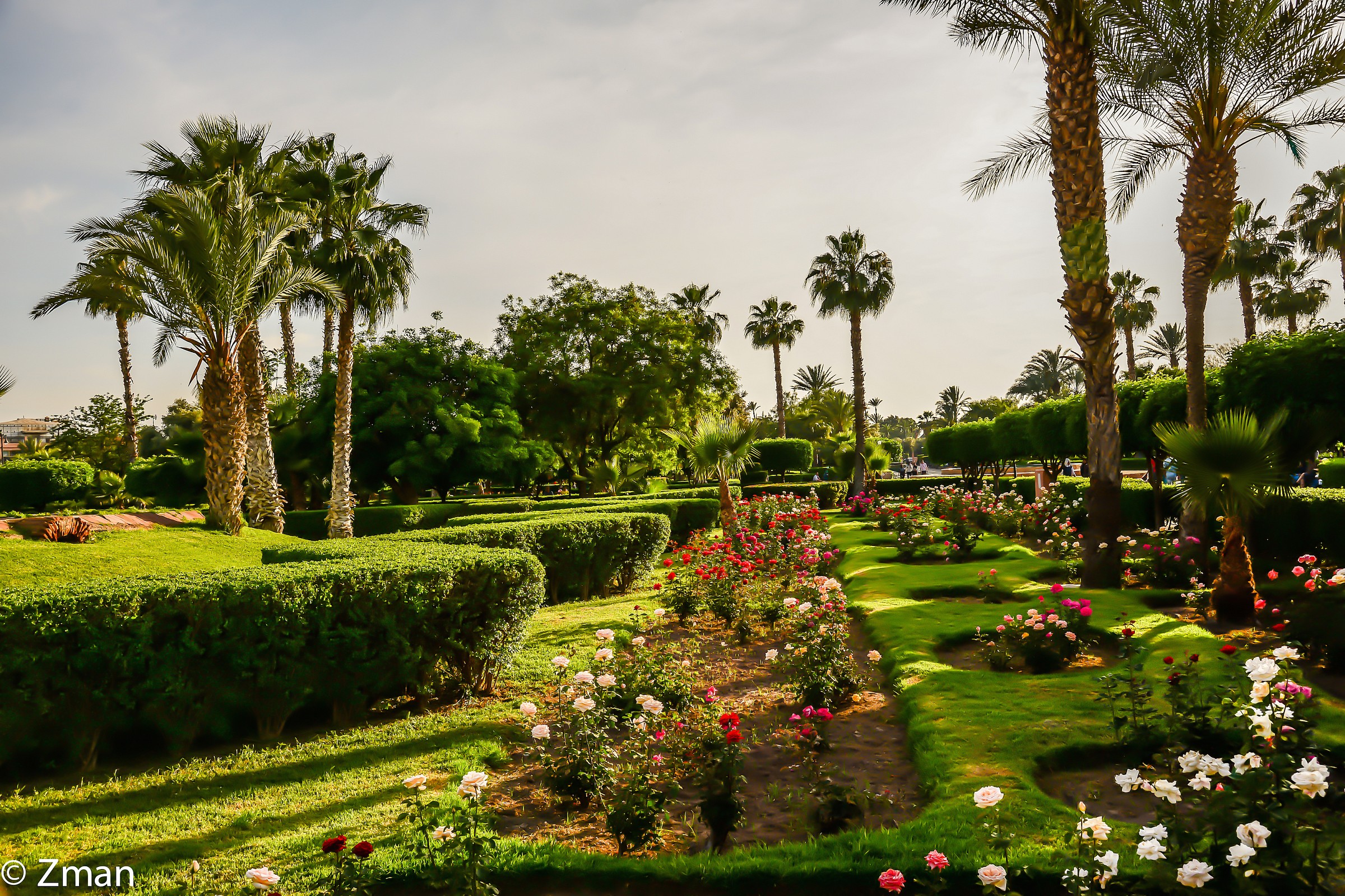Koutoubia Garden