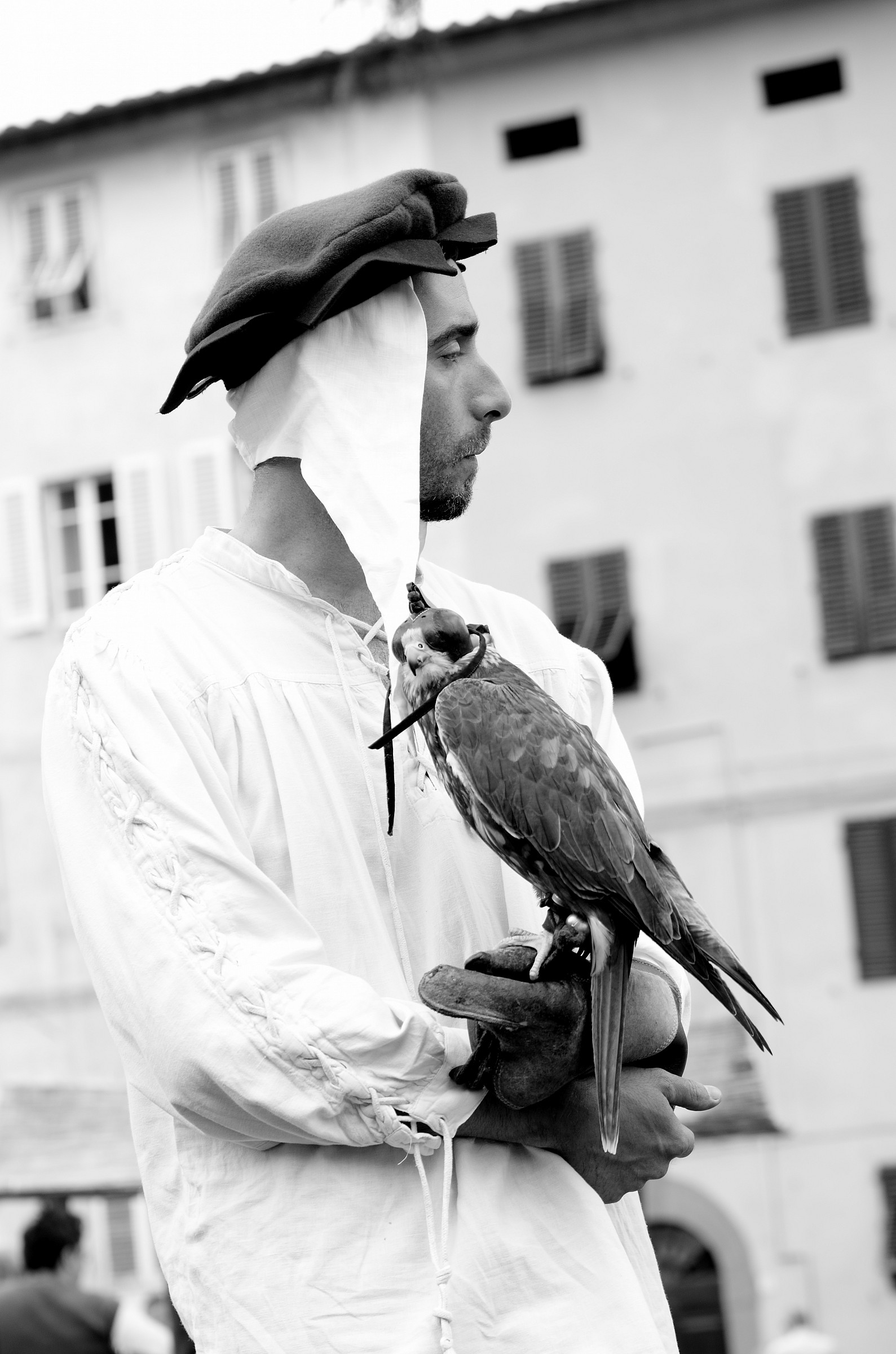 il falconiere